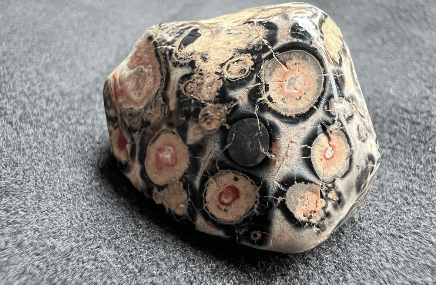 pink and black leopard jasper on a neutral background to illustrate a pink stone