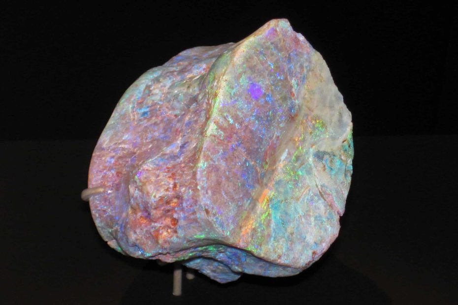 Le Monde Fascinant des Fossiles Opalisés