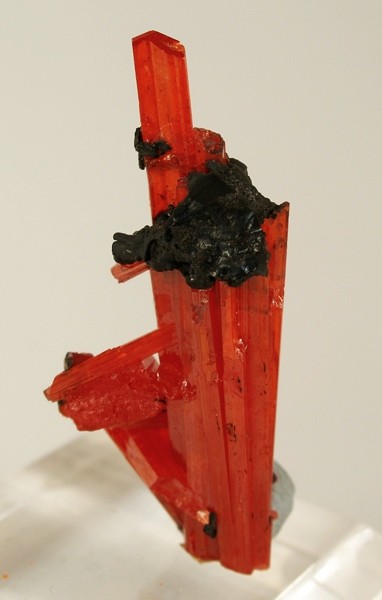 Pierre Précieuse Rouge: 25 Gemmes Flamboyantes